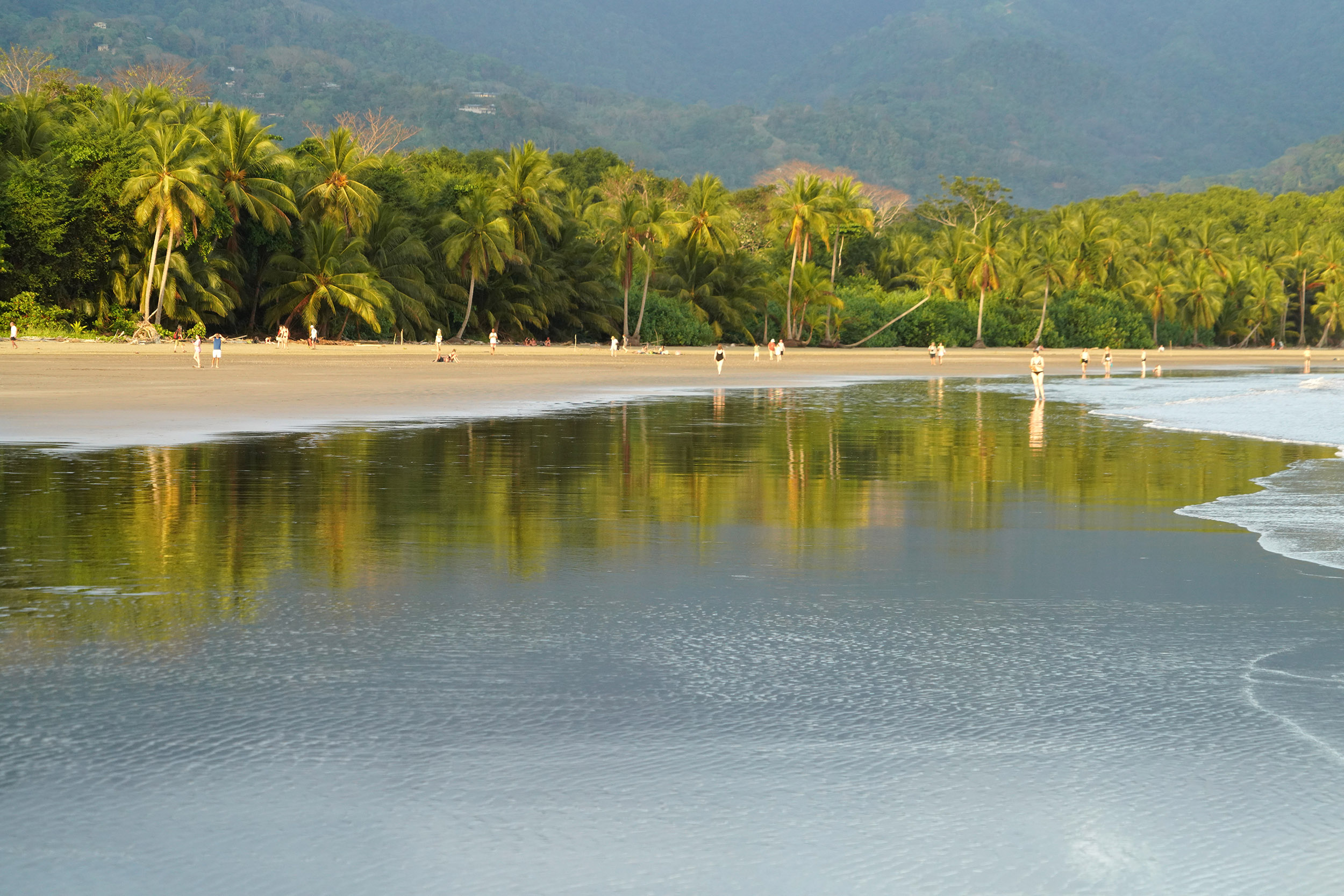 Costa Rica - Février 2025